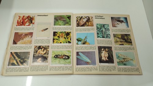 ALBUM FIGURINE PANINI - IL MONDO DEGLI ANIMALI - COMPLETO - 第 19/24 張圖片