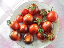 BLEVE P20 Nasiona pomidorów Heirloom Cherry Indigo Blue Red Pomidory Rzadkie nasiona