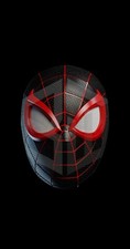 Spiderman Custom Helmet
