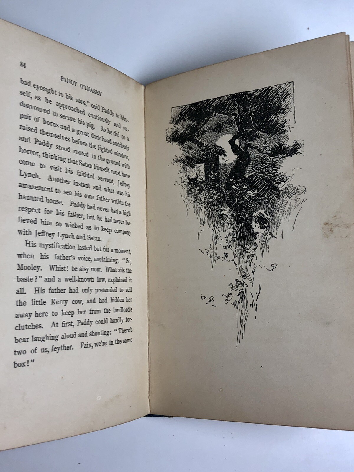 Picture 20 of 21