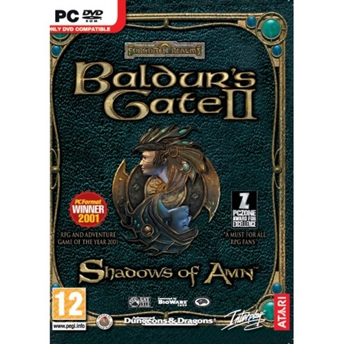 Baldur's Gate I & II Enhanced Edition Nintendo Switch Video Game