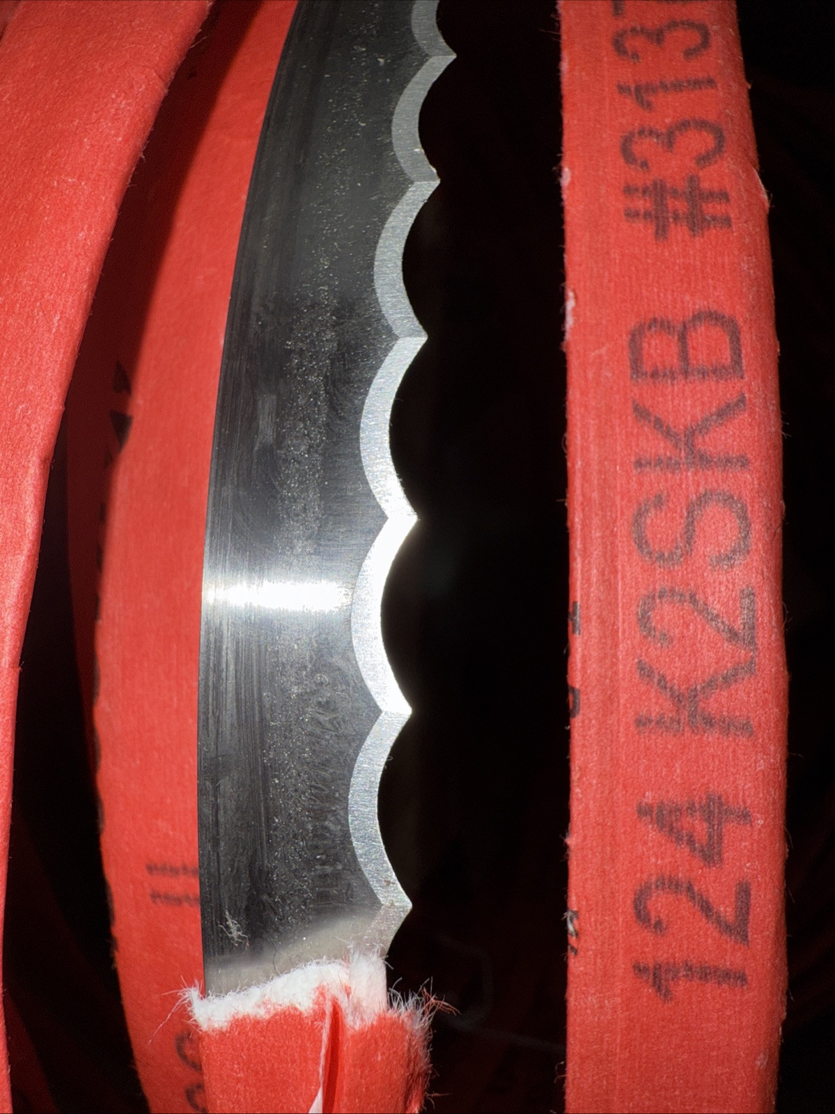 Kasco Meat Band Saw Blade - Scallop Edge - 124 in. x 5/8 in. x .022 in Lot 40