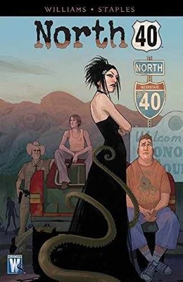 North 40 - Paperback, by Williams Aaron - Very Good