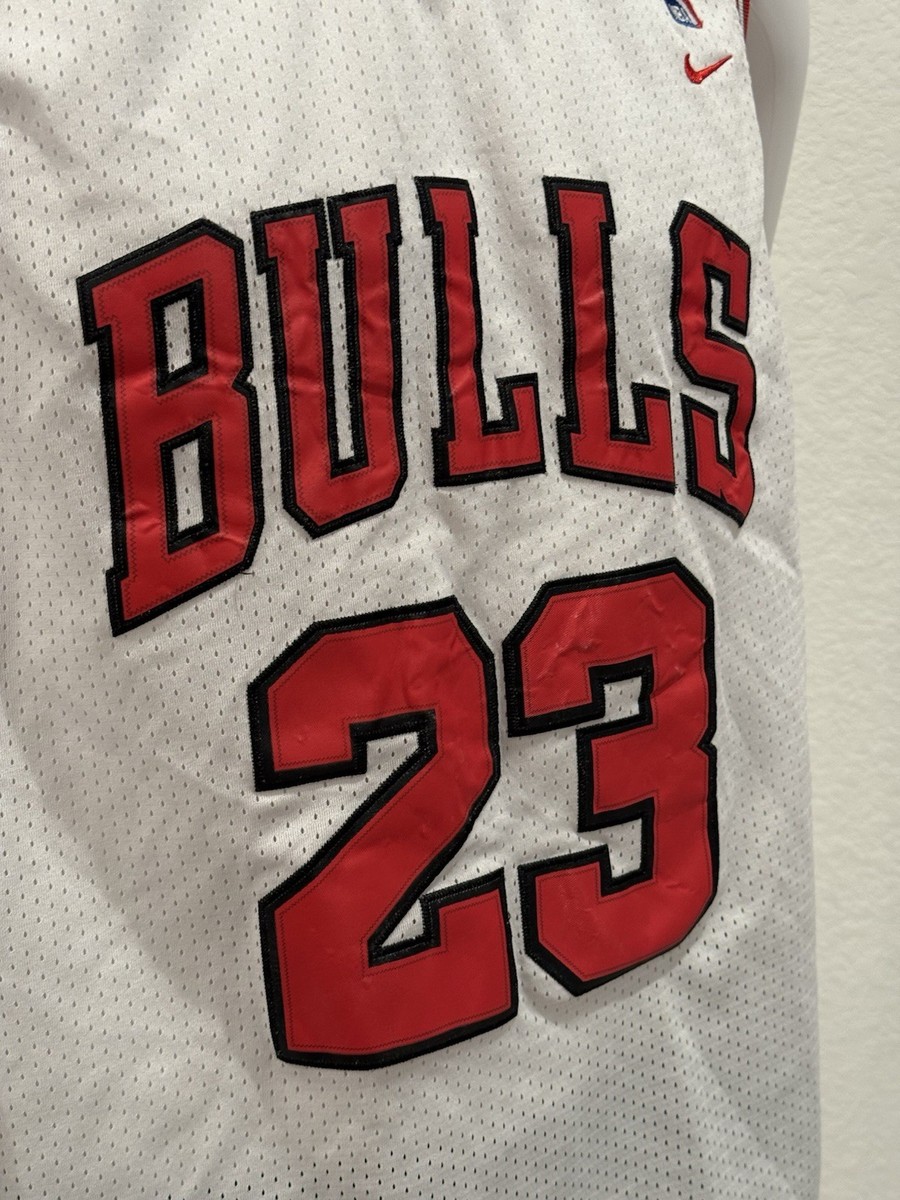Vintage Nike Jordan #23 Chicago Bulls NBA Jersey Men's Size Large