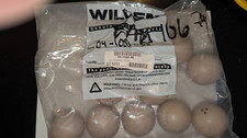 New pack of (10) Wilden Pump Valve Balls 04-1080-58