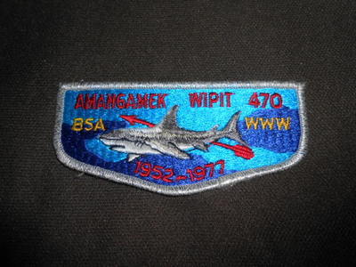 Amangamek Wipit 470 s6 Flap   OAE