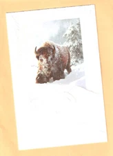 Buffalo Bison Snow Embossed Christmas Cards Box of 16 Made in the USA