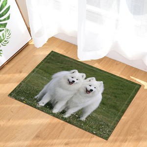dog bathroom mat