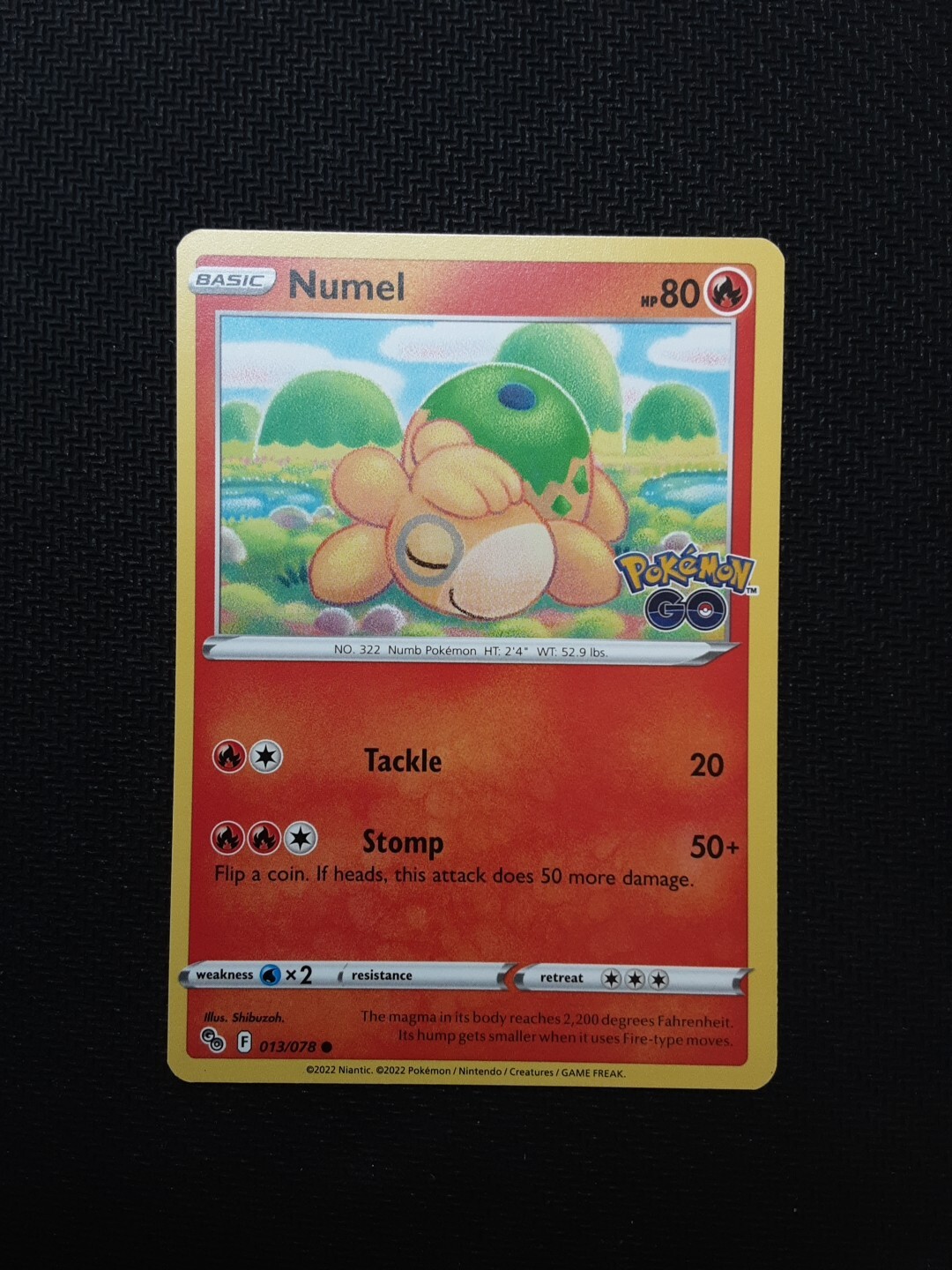 Numel - 13/78 - Common - Pokémon Go - 2022 - Pokémon Card - NM