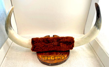 VTG Mounted Bull Steer Cow Horns Wall Hanging Display Mount 16" x 9" Uruguay