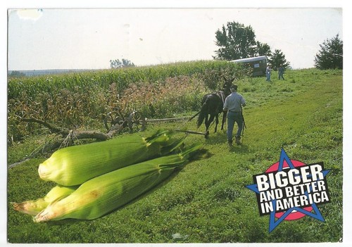 Farming Postcard Corn Exaggerated Humor | eBay