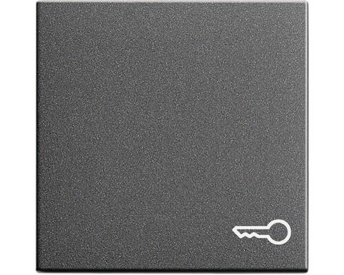 GIRA System 55 E2 Steckdose Schalter / Wippe / Rahmen Anthrazit nach Wahl NEU - Bild 52 von 53