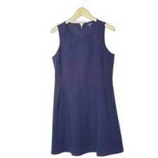 Madewell Navy Sleeveless Classic Preppy Business Dress Size 12 F8
