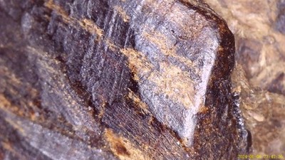 0.40 g  X.~0.  D.S. SUPER BLACK KING Jinkoh Kynam/KYἏRἏ Grade Old Stock Agarwood