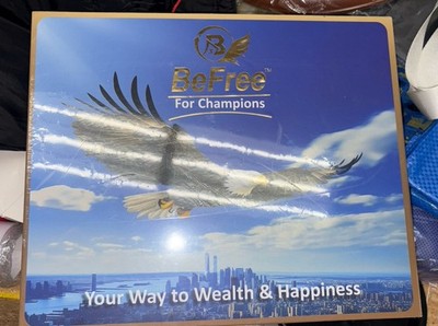 BeFree for Champions Financial Literacy Board Game | Money, Investing ...