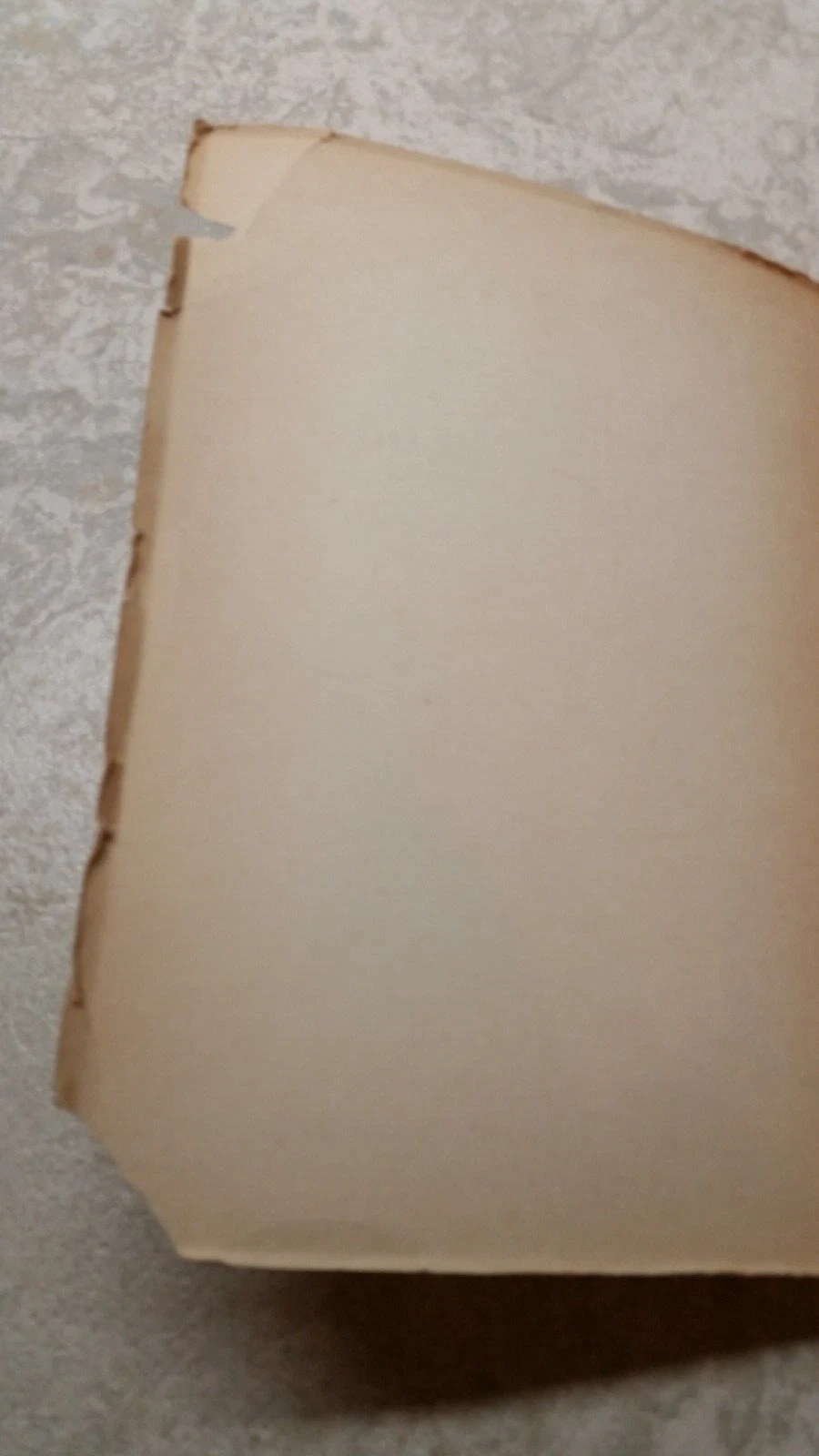Foto 4 di 8