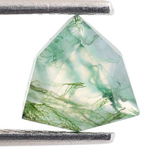 Natural Moss Agate Trillion Shape Excellent Cut 8X8mm Healing Gemstone 1.70 Ct.