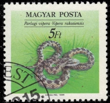 HUNGARY 3191 - Meadow Viper "Viper rakosiensis" (pf31027)