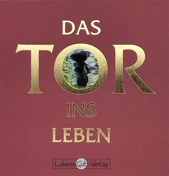 Thumbnail - Das Tor Ins Leben | Grit Scholz | 2007 | Deutsch