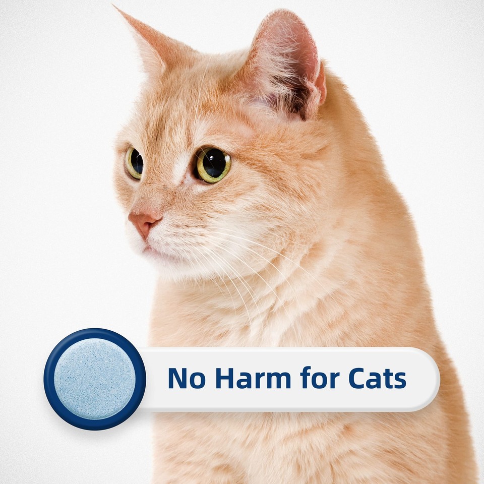 HONEY CARE AllAbsorb Cat Litter Odor Eliminator Tablets 丨 Refresh