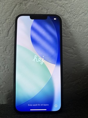 Apple iPhone 13