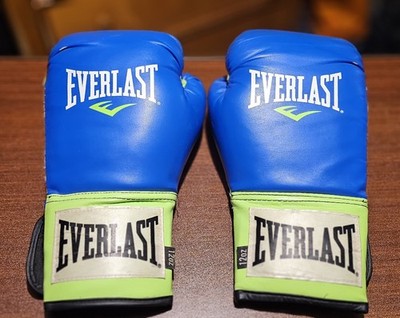 Everlast Blue Green Bag Boxing Gloves 12 oz Pair Training Sparring Equipment