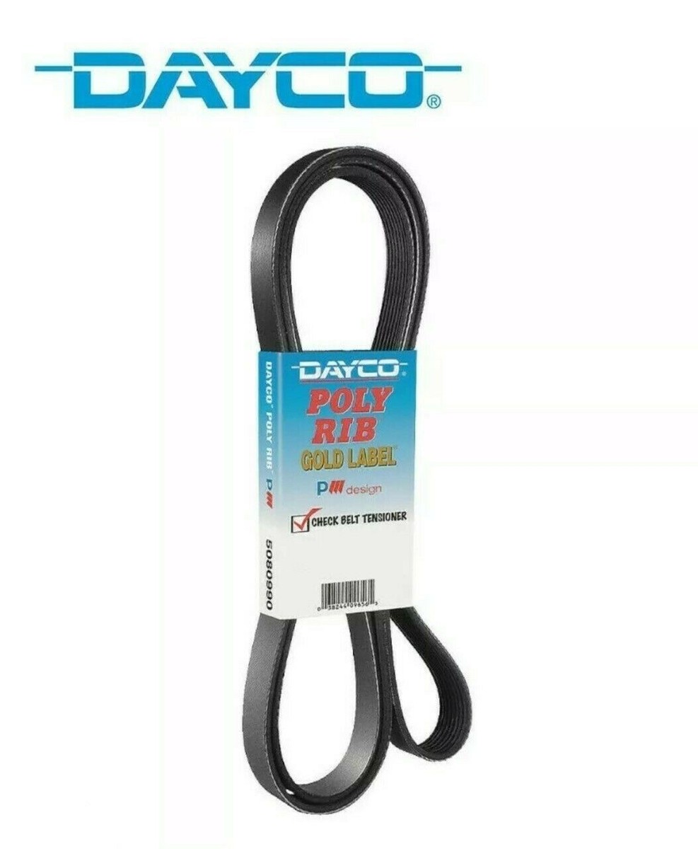 5030365 3PK0930 PK030365 4030365 Dayco Serpentine Belt POLY RIB | eBay 