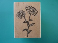 Stemmed Daisies, Small DOUBLE D Rubber Stamp