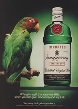 1988 Tanqueray Gin - Beautiful Parrot Bird On Branch Perch - Print Ad Photo