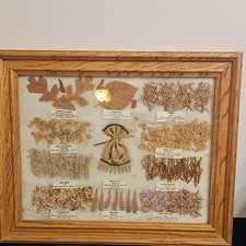 Navajo gerahmte getrocknete Botanicals & Kräuter Display mit Etiketten & Medizin Tasche