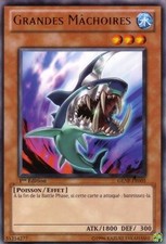 Yu-Gi-Oh: Large Jaws | GENF-FR005 | Rare | EX | FR