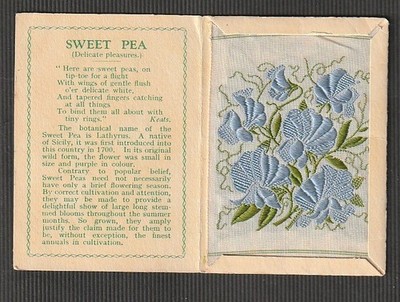 Kensitas silk flower Medium SWEET PEA blue Folder C