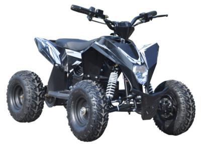 Kinder Quad Elektro ATV 36V 1000W Miniquad Pocketbike Elektroauto + Ladegerät