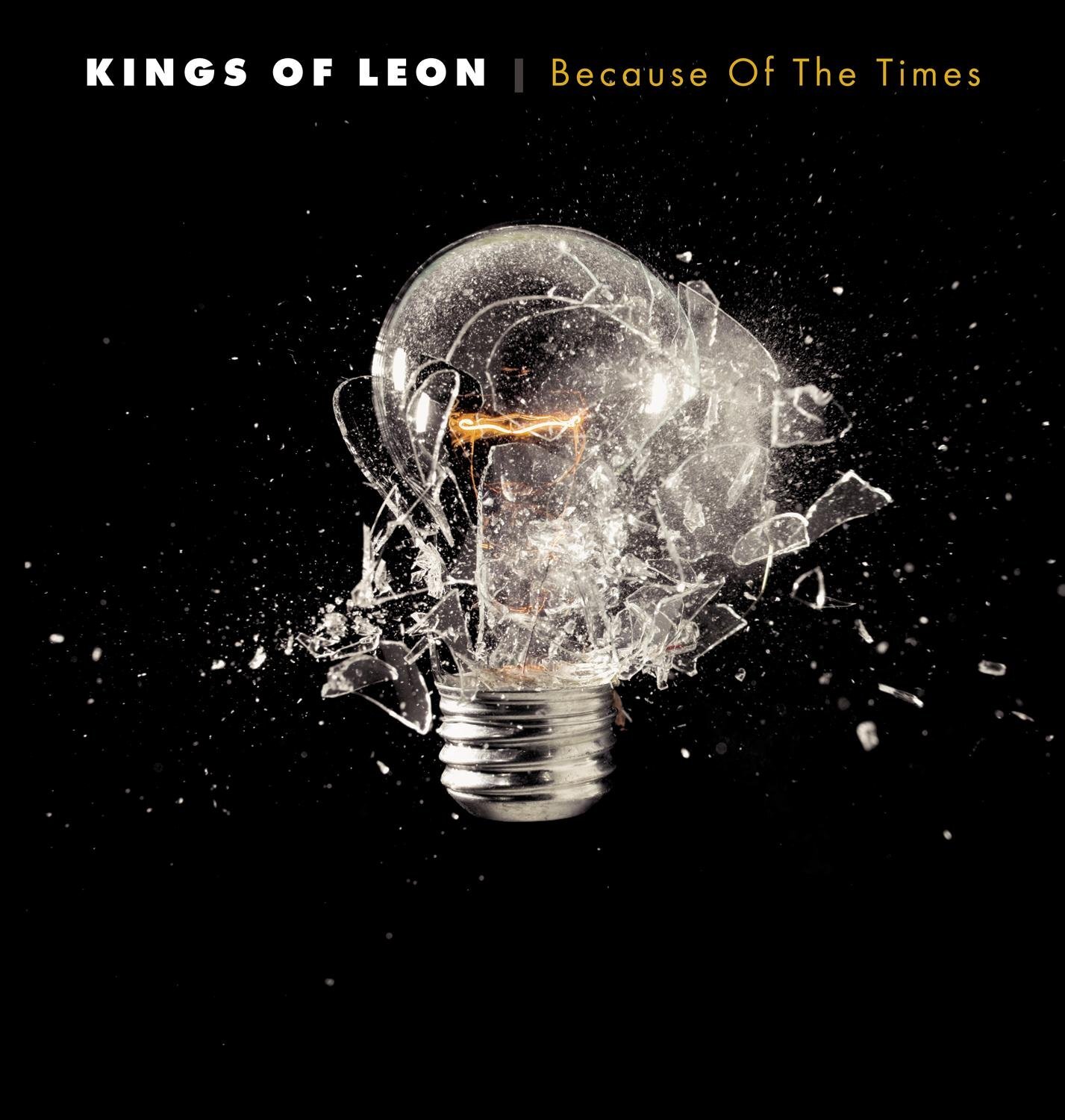 Kings of Leon Because of the Times (Vinyl LP)