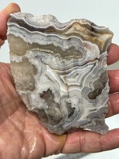 Thick Mexican Laguna Crazy Lace Agate Slab Cabbing Collecting Combo Ship Avail