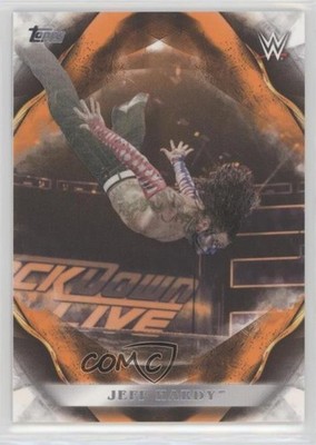 2019 Topps WWE Undisputed Orange 99/99 Jeff Hardy #33 2rz