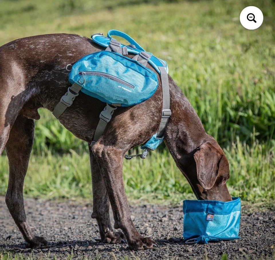 Cuenco de viaje para perros Kurgo Zippy - azul Foto 3 de 4