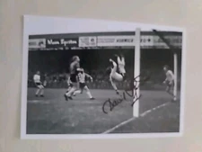 Dave Stringer Norwich City hand Signed 7x5 bordered photo Autograph