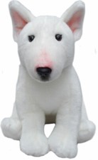 12" English Bull Terrier teddy