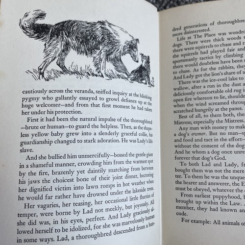 Lad a dog Albert Payson Terhune J M Dent 1965 Hardback HFB - Picture 12 of 12