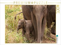Calvendo Puzzle Asian Elephants | 1000 Pieces, Finished Size 25.2 × 18.9 In (64