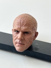 Head Sculpt Figure Hot Toys 1/6 Scale HT MMS746 Deadpool & Wolverine Accessories