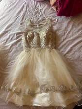 champagne damas quince dress