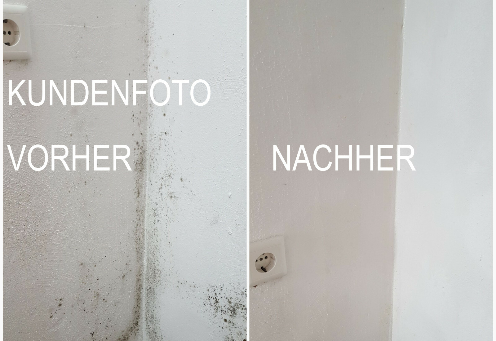 Imagen 3 de 6