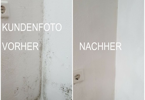 3 Unidad Anti Moho Ex Set Moldes Mancha de Moho Schimmelentferner Setas - Imagen 3 de 6