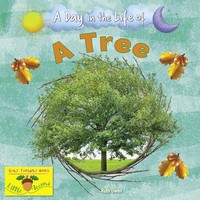 Ruth Owen - A Tree - Paperback - G245Z