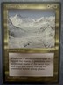 Vintage💥WINTERS NIGHT💥MAGIC THE GATHERING ALLIANCES MTG 1996