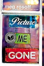 Picture Me Gone Paperback Meg Rosoff