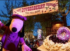 Knotts Berry Farm Theme park 1 day 4 pack Digital Tickets for 2026