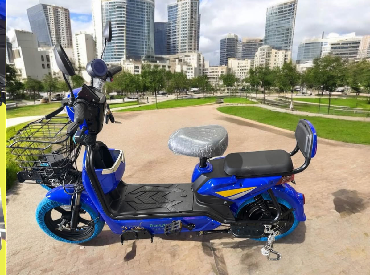 500 Watt Electric Scooter / Bike 48 Volt Battery 2Seats Remote